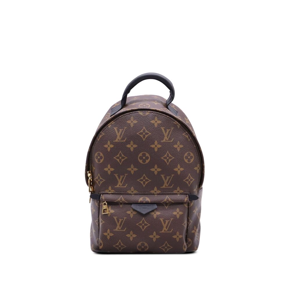 Pre-Loved Louis Vuitton Monogram Palm Springs PM